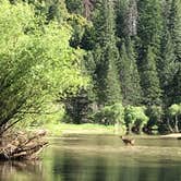 Review photo of Tuolumne Meadows Campground — Yosemite National Park by Annie C., July 24, 2018