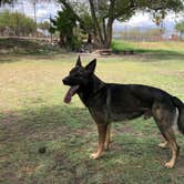 Review photo of Tucson - Lazydays KOA by Stephanie S., August 1, 2018