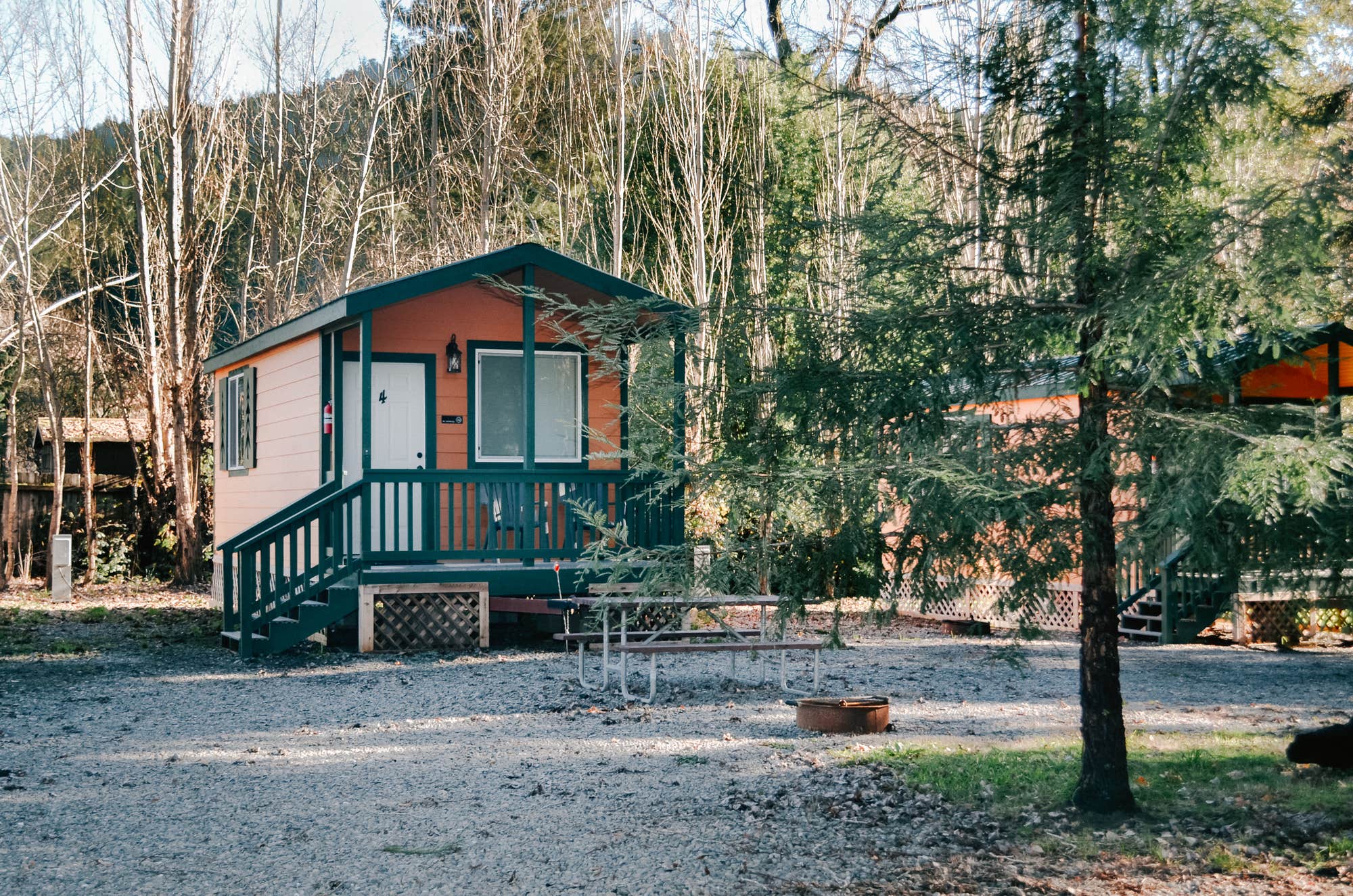 Camper submitted image from Giant Redwoods RV & Cabin Destination - 1