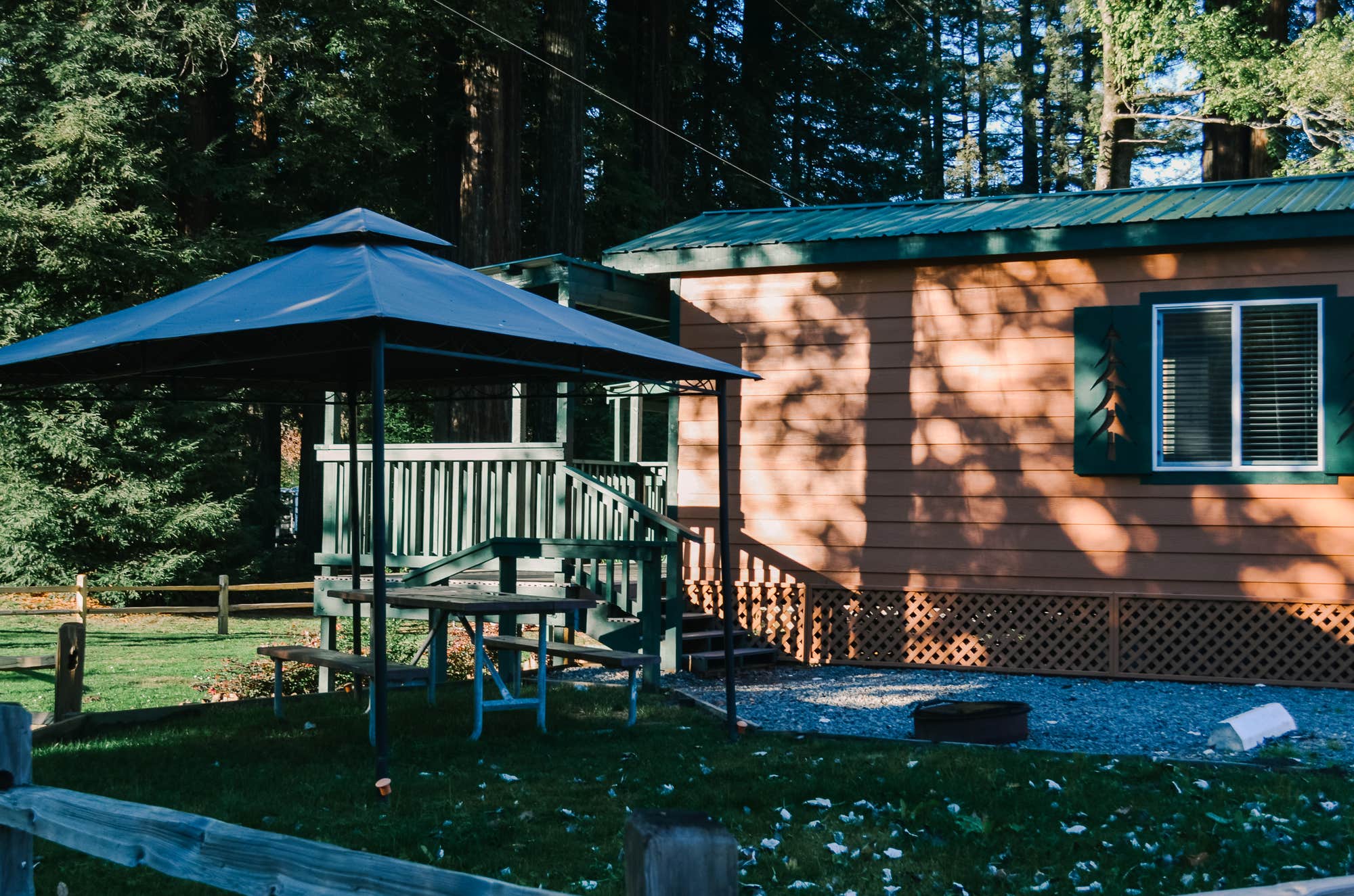 Camper-submitted photo at Giant Redwoods RV & Cabin Destination near King Range National Conservation Area
