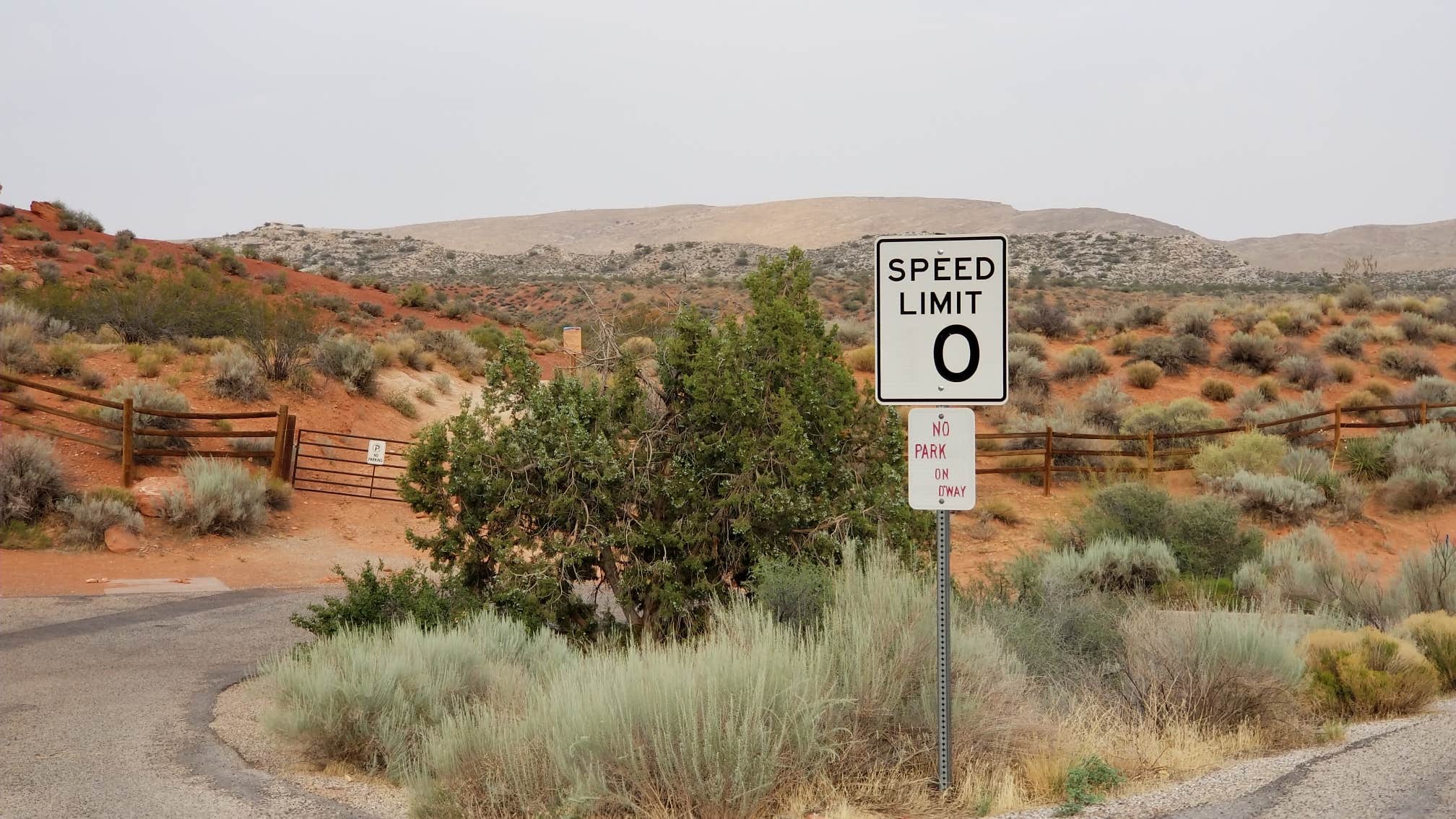 Camper submitted image from Red Cliffs Campground - 3