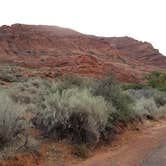 Review photo of Red Cliffs Campground by Michael J., August 1, 2018