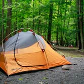 Review photo of Cades Cove Campground by Carrie J., July 29, 2016