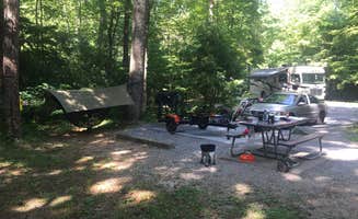 Coy C.'s photo at Cades Cove Campground near Townsend, TN