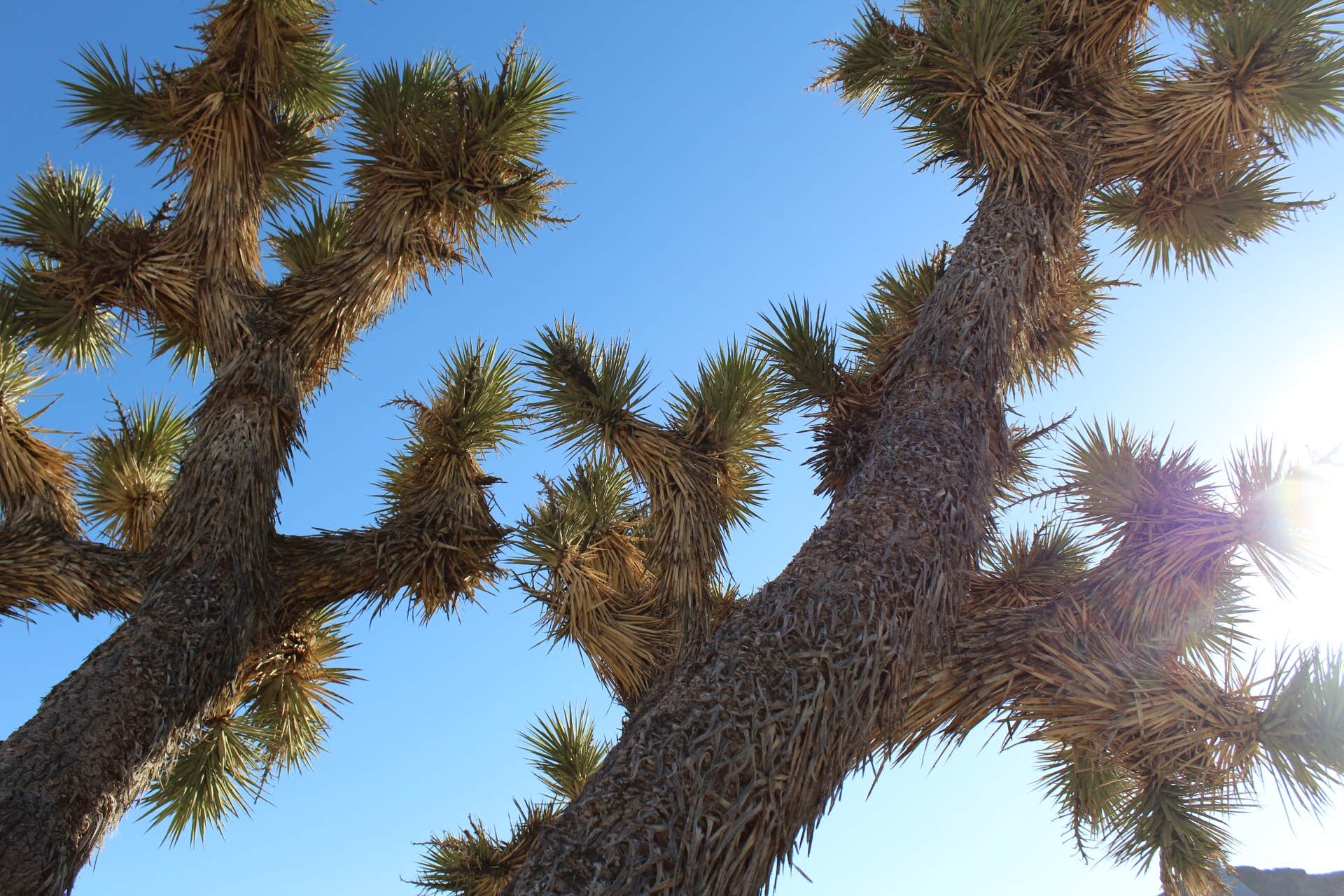 Camper-submitted photo at Space Station RV Park & Market near Death Valley National Park