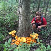 Review photo of Ice Age - Devils Lake State Park by Jay W., July 17, 2018