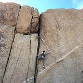 Review photo of Jumbo Rocks Campground — Joshua Tree National Park by Kelly M., July 31, 2018