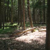 Review photo of Brunet Island State Park Campground by Jay W., August 1, 2018