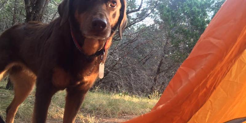 Camper submitted image from Pedernales Falls State Park Campground