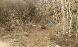 Michael J.'s photo at Lower Lehman Campground — Great Basin National Park near Garrison, UT
