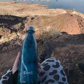 Review photo of Boulder Beach Campground — Lake Mead National Recreation Area by Crystal C., August 1, 2018
