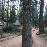 Review photo of Cheyenne Mountain State Park Campground by Crystal C., August 1, 2018