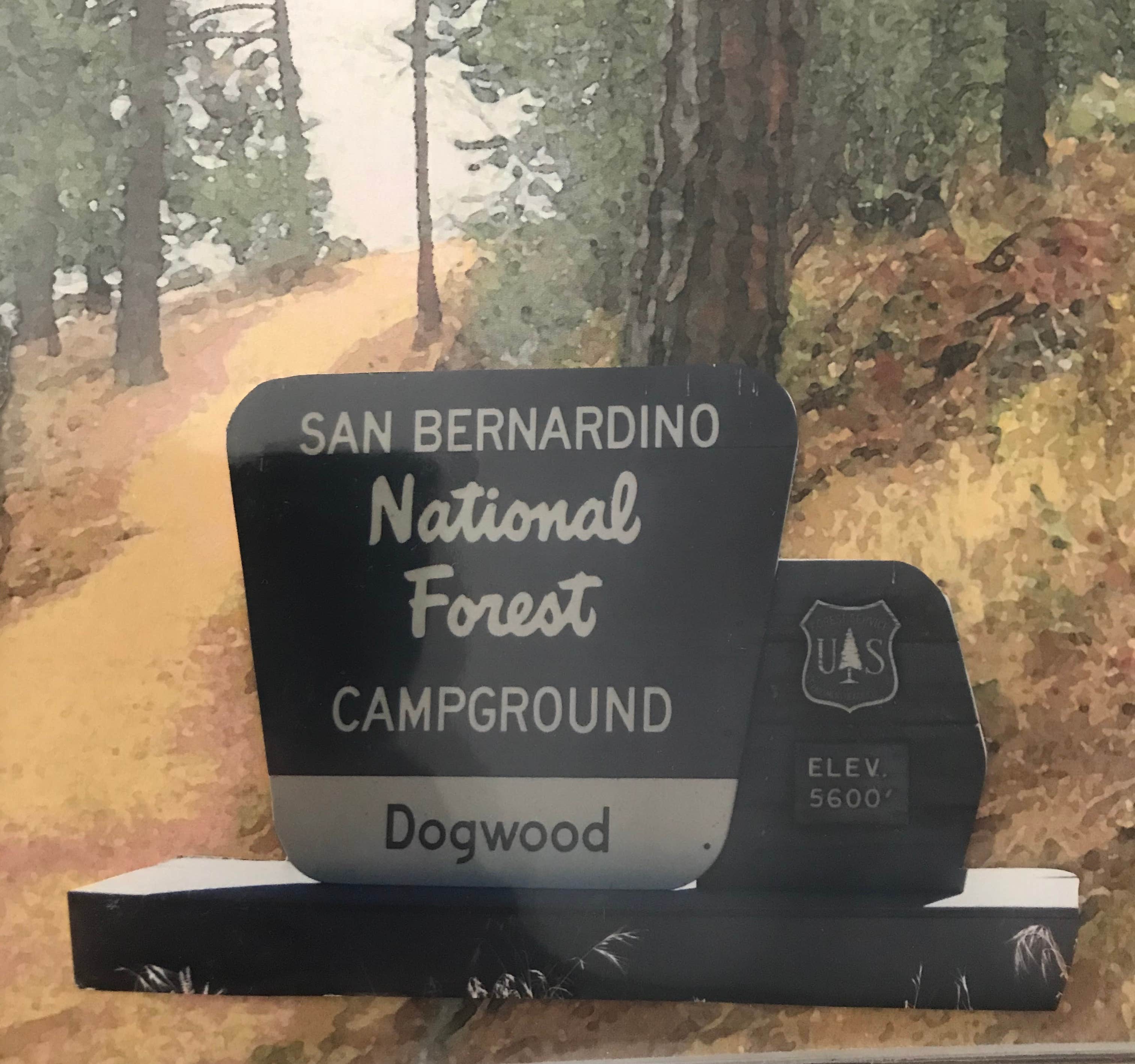 Camper-submitted photo at Dogwood near Colton, CA