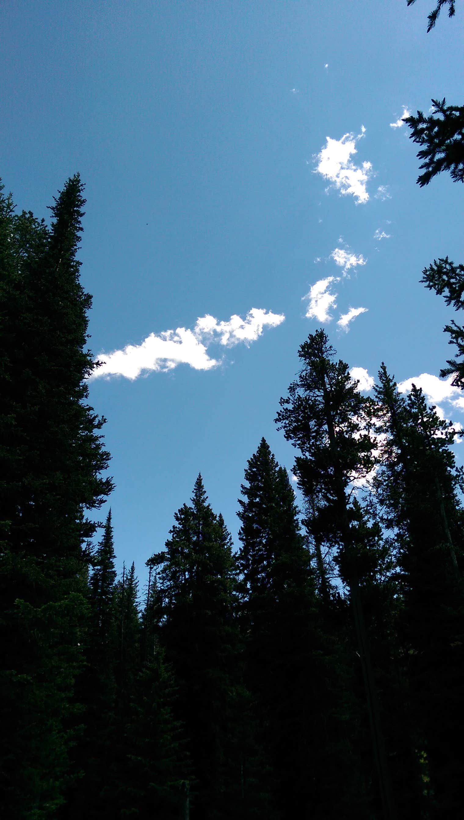 Camper-submitted photo at Red Banks Campground near Richmond, UT