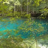 Review photo of Manatee Springs State Park Campground by Danielle K., August 1, 2018