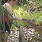 Review photo of Manatee Springs State Park Campground by Danielle K., August 1, 2018
