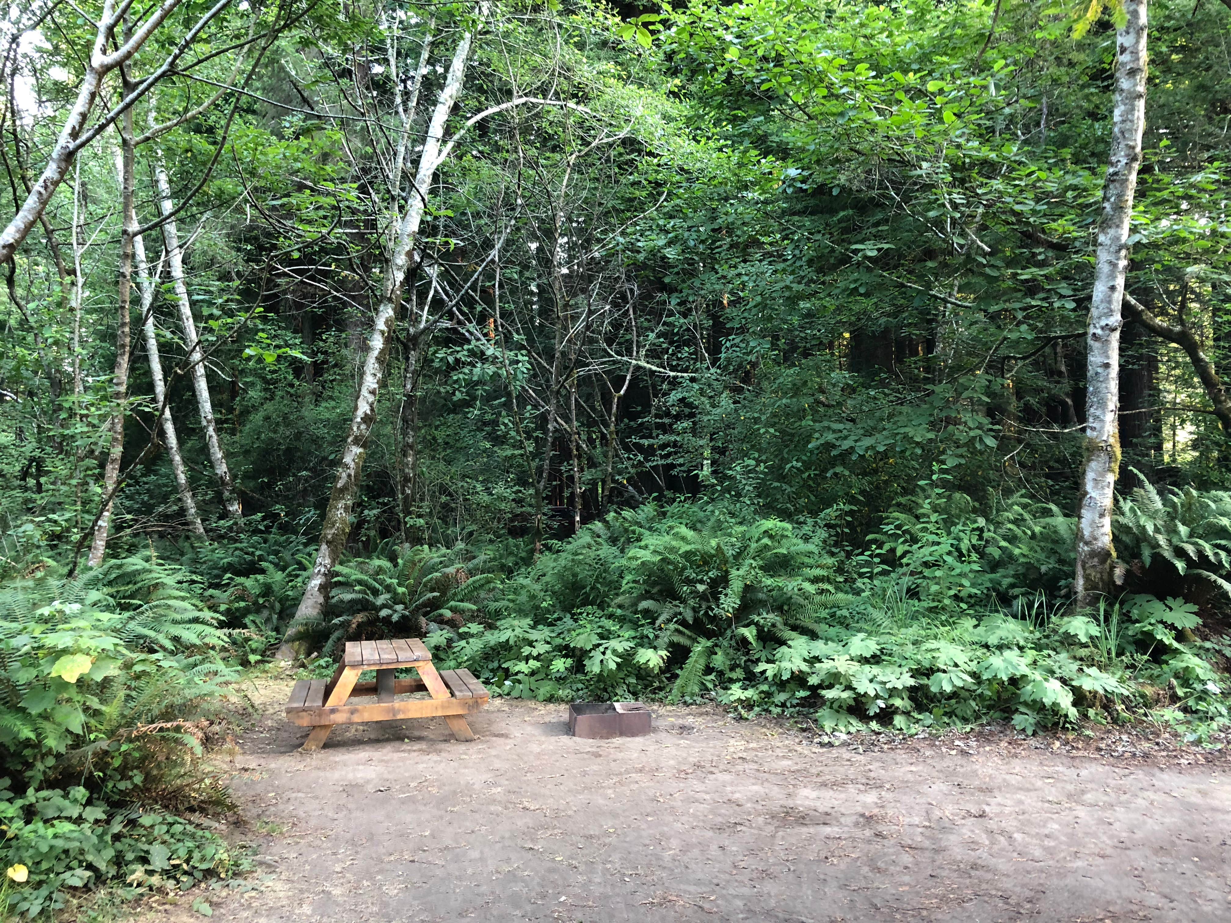 Camper-submitted photo at Crescent City/Redwoods KOA near Smith River, CA