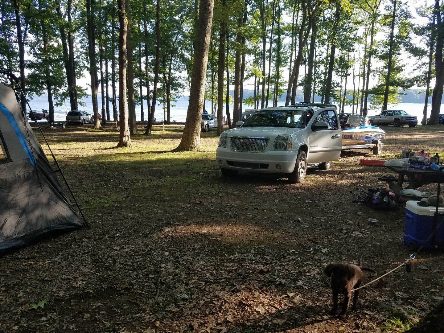 Danielle K.'s photo at Pickwick Landing State Park Campground near Toone, TN