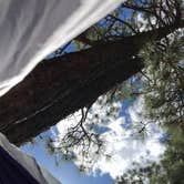 Review photo of Chris Park Group Campground by Kristen M., August 1, 2018