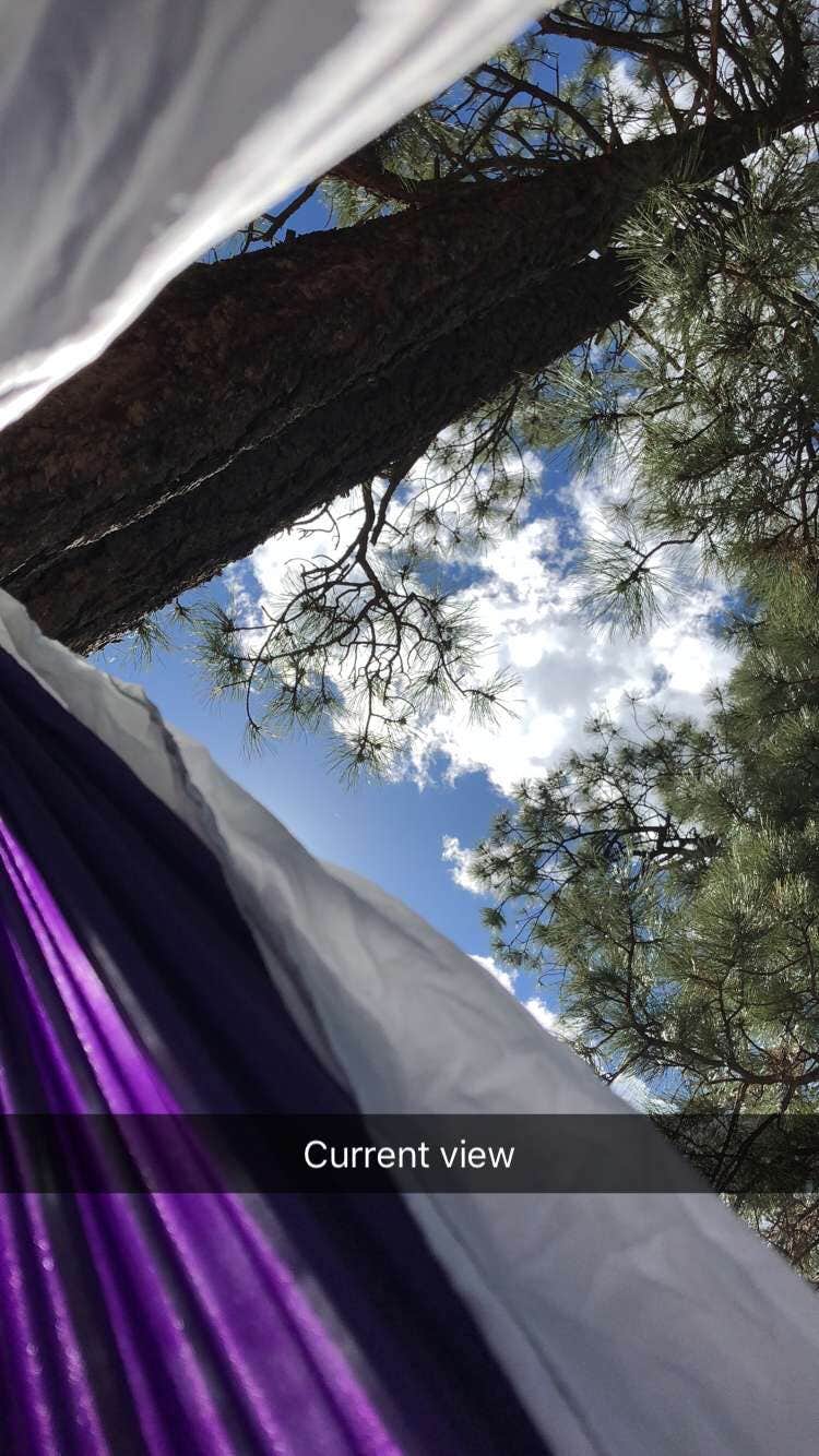 Camper submitted image from Chris Park Group Campground - 1