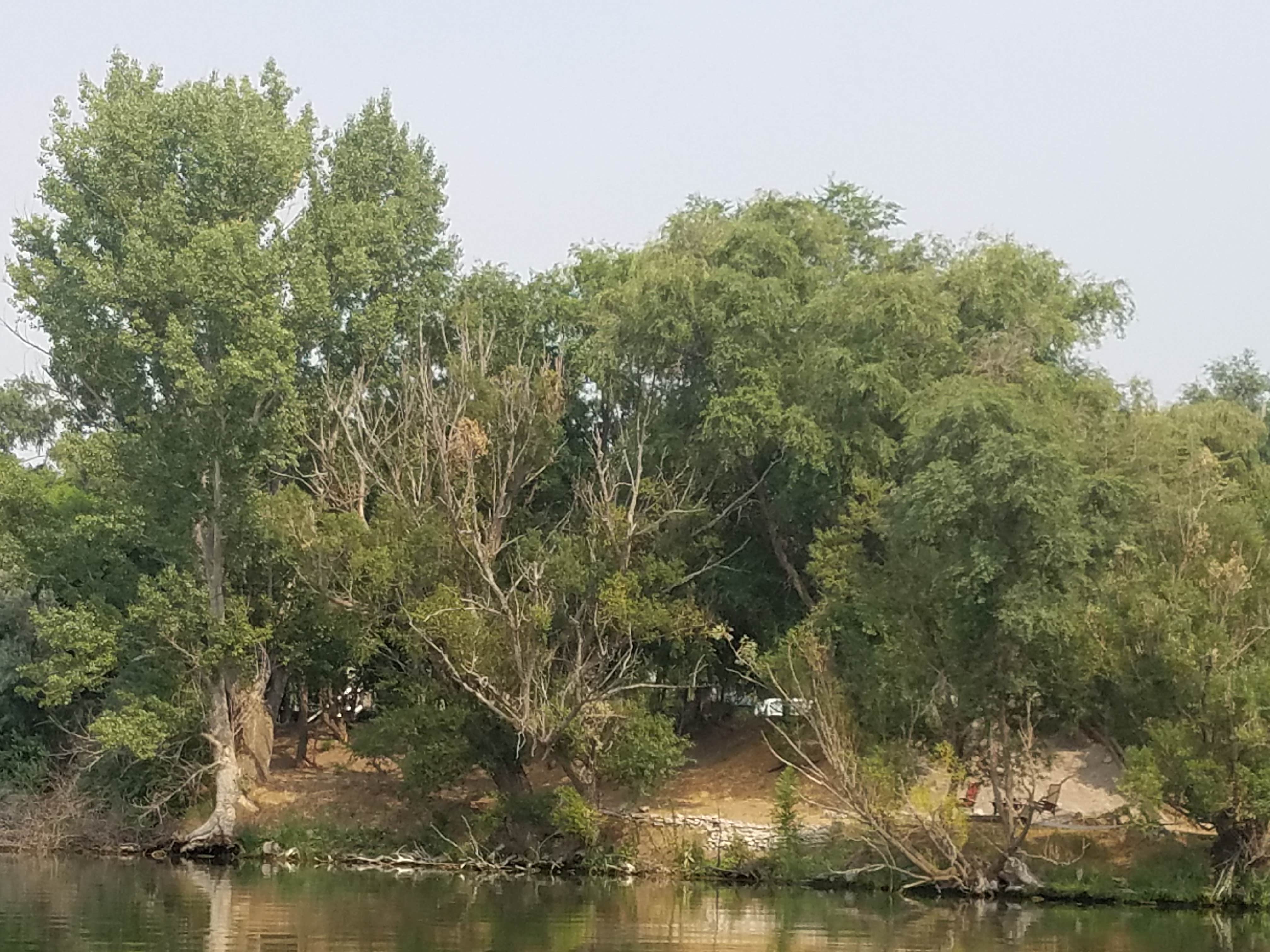 Camper-submitted photo at Hagerman RV Village near Corral, ID