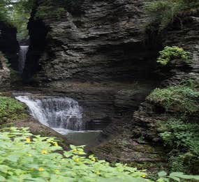 Camper-submitted photo from Watkins Glen State Park Campground