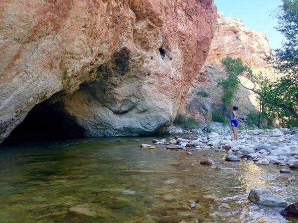 Camper-submitted photo at Shell Creek near Shell, WY