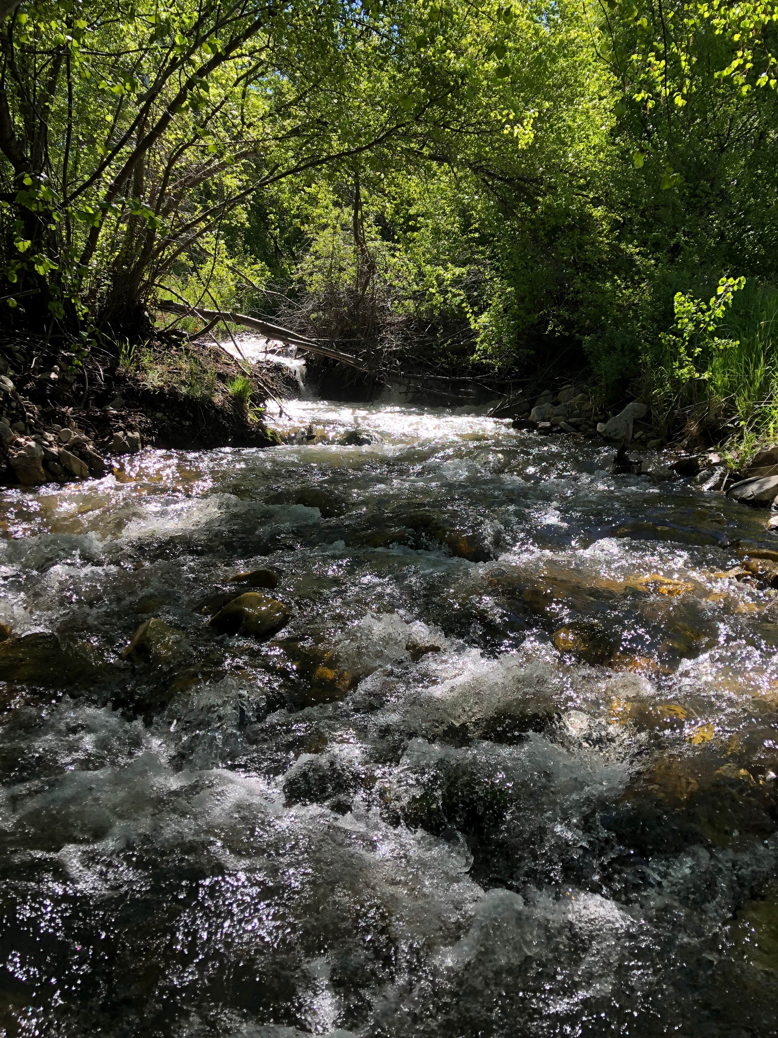 Camper submitted image from Clear Creek Campground - 4