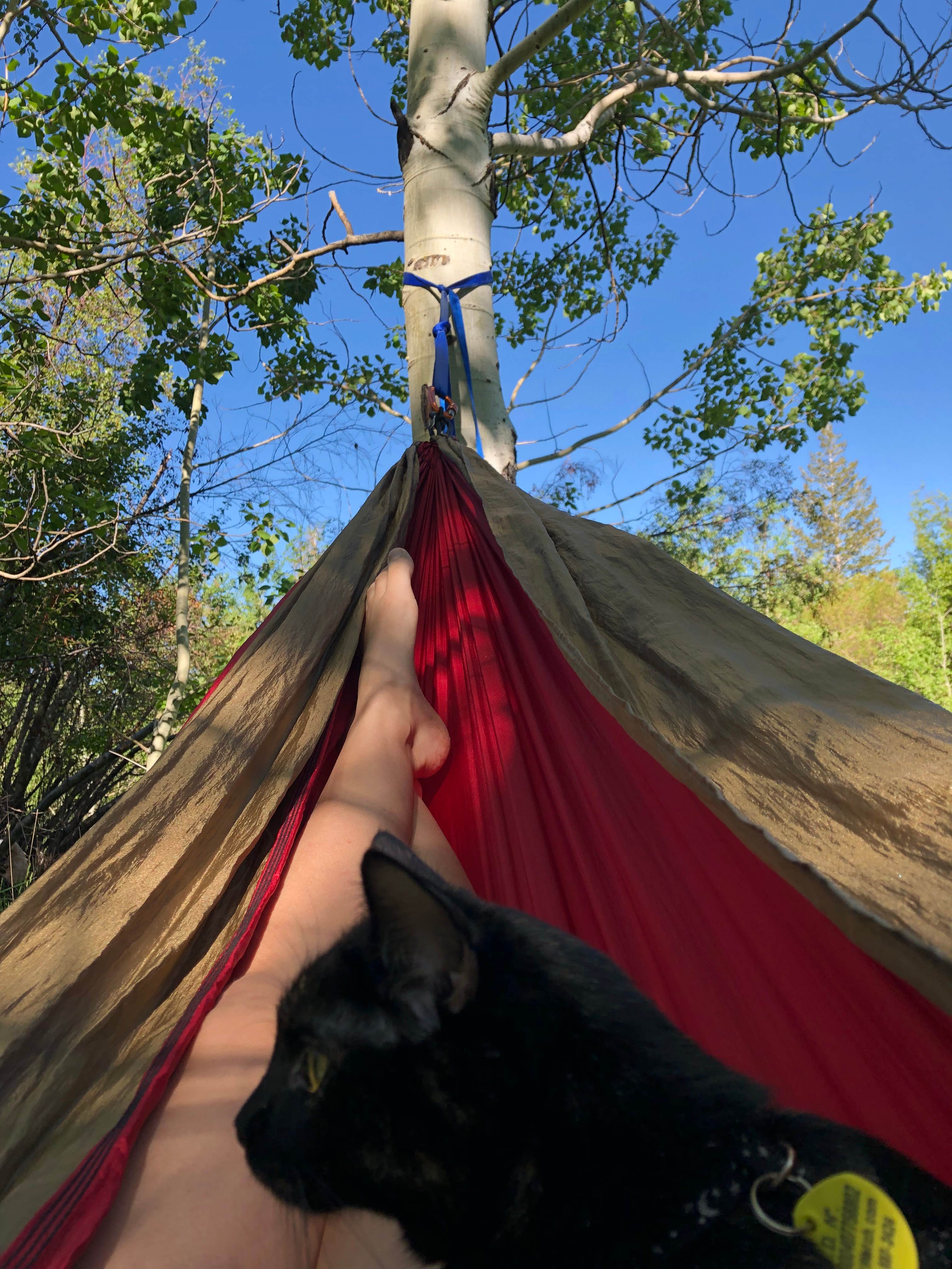 Shilah M.'s photo at Clear Creek Campground near Park Valley, UT