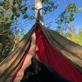 Review photo of Clear Creek Campground by Shilah M., August 1, 2018