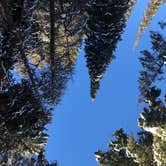 Review photo of Spruces - Big Cottonwood by Shilah M., August 1, 2018