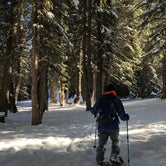 Review photo of Spruces - Big Cottonwood by Shilah M., August 1, 2018