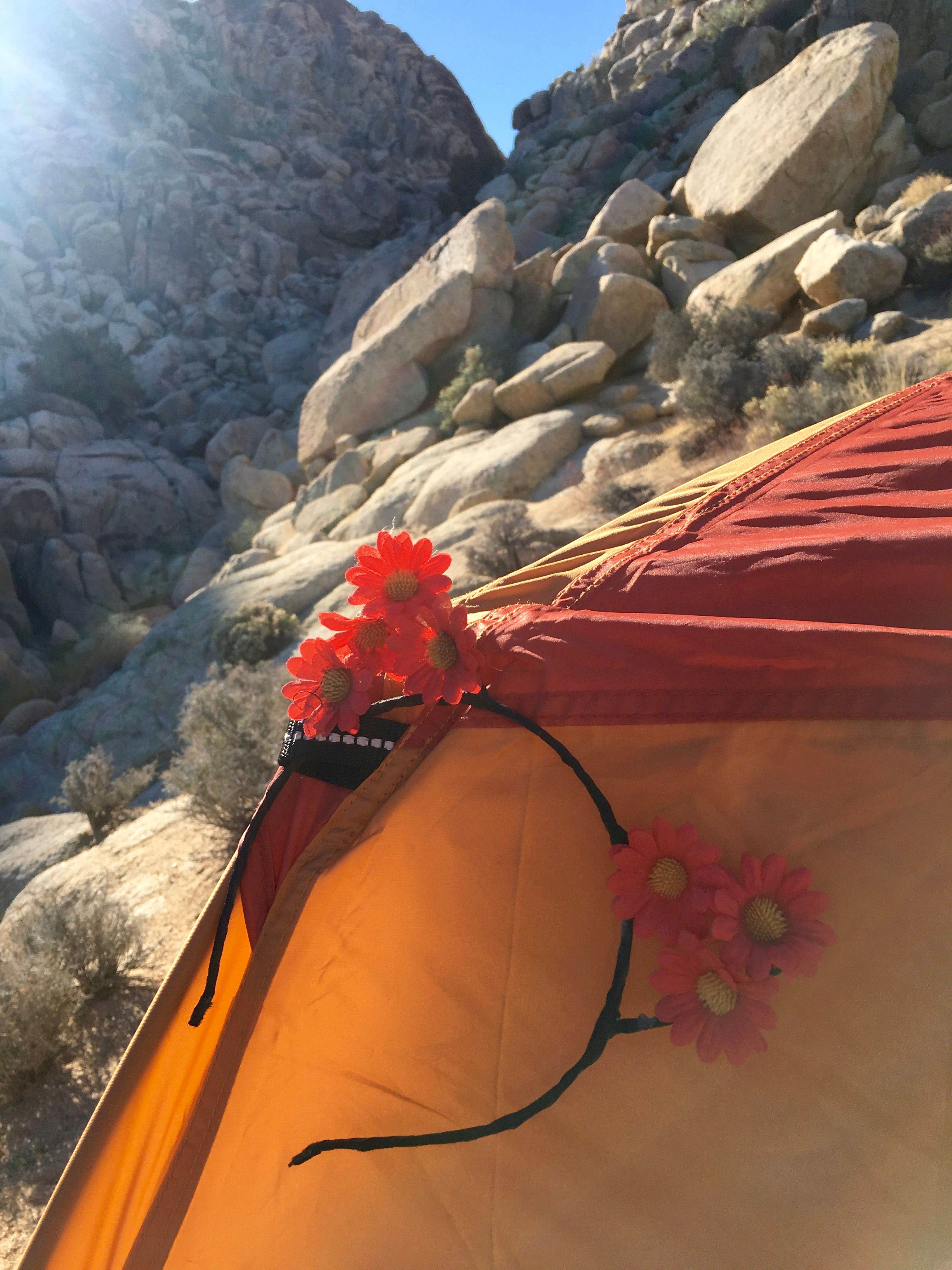 Kelly M.'s photo at Sheep Pass Group Campground — Joshua Tree National Park near Joshua Tree National Park