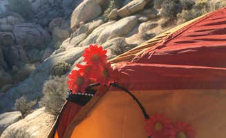 Kelly M.'s photo at Sheep Pass Group Campground — Joshua Tree National Park near Joshua Tree National Park