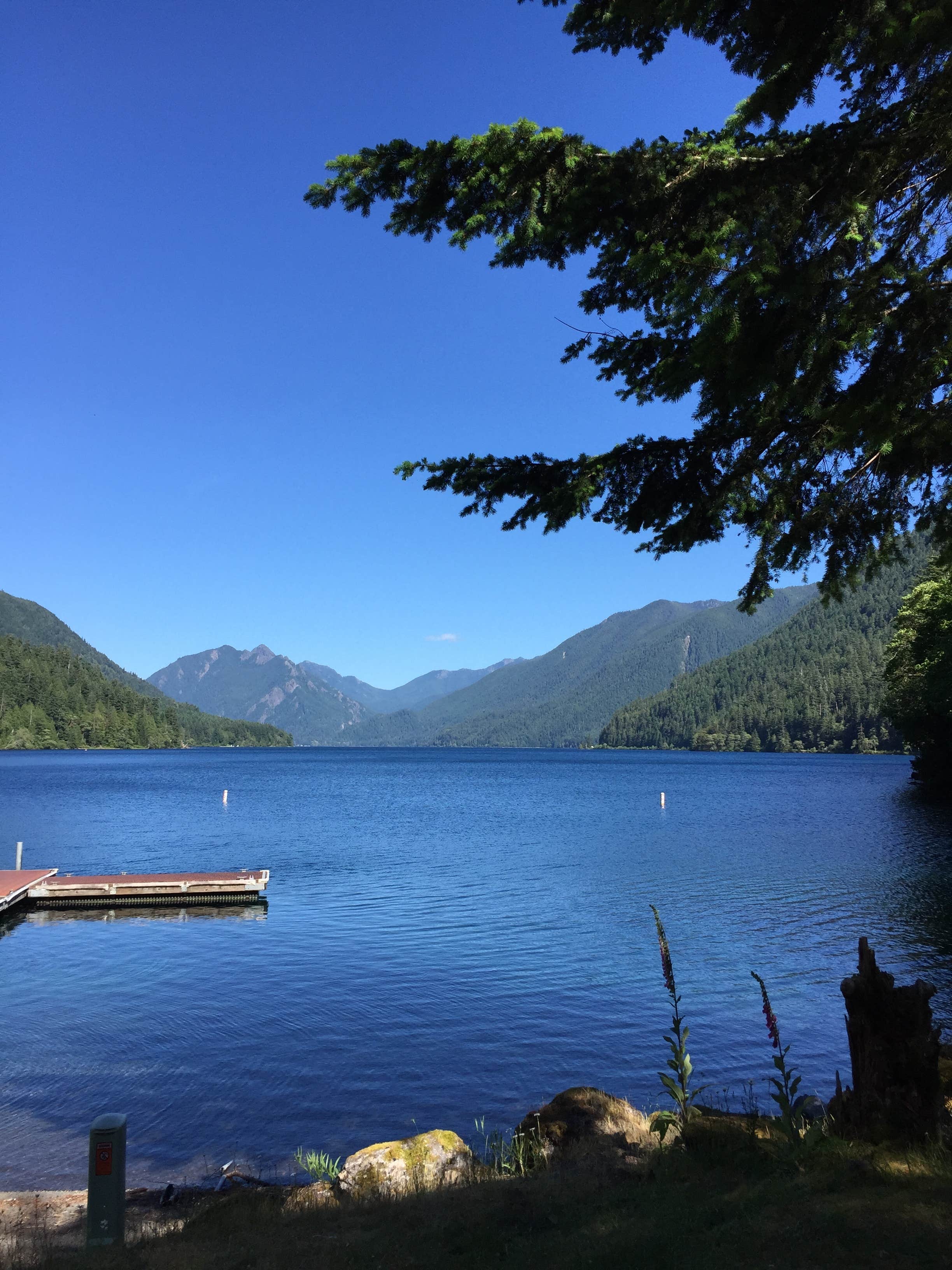 Camper submitted image from Fairholme Campground — Olympic National Park - 4