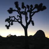 Review photo of Hidden Valley Campground — Joshua Tree National Park by Kelly M., July 30, 2018