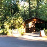 Review photo of Milo McIver State Park Campground by Brian C., August 1, 2018