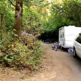 Review photo of Milo McIver State Park Campground by Brian C., August 1, 2018