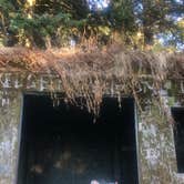 Review photo of Cape Disappointment State Park Campground by Corinna B., September 24, 2016