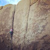 Review photo of Jumbo Rocks Campground — Joshua Tree National Park by Kelly M., July 31, 2018