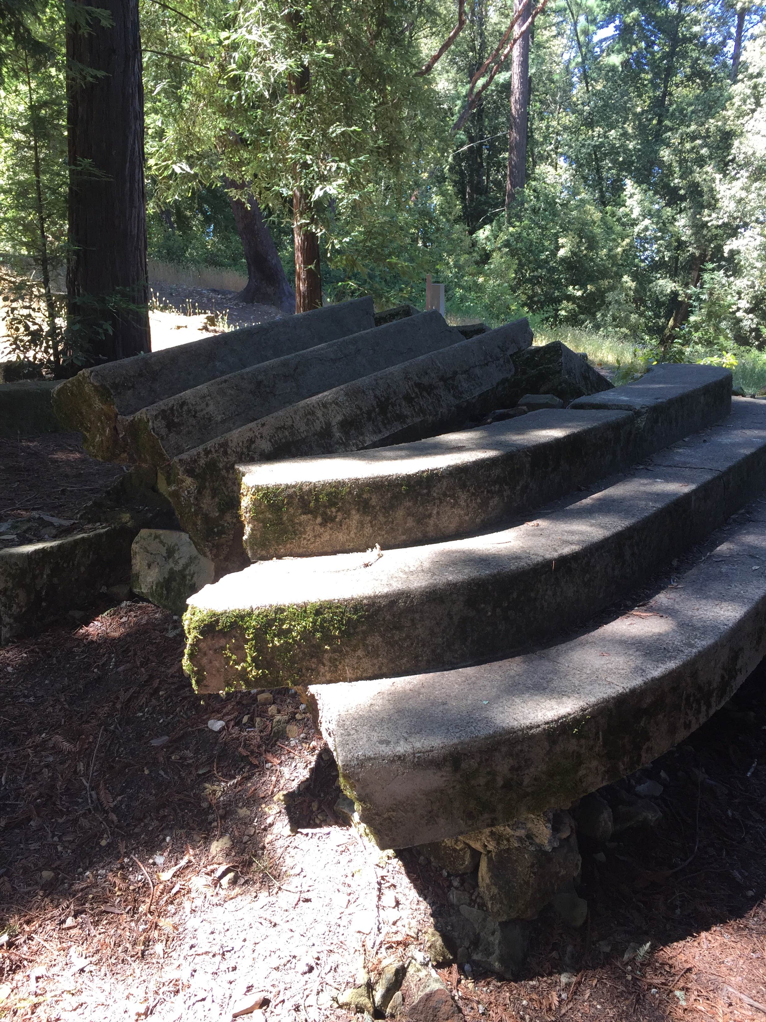 Camper submitted image from Mount Madonna County Park - 4