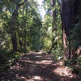 Review photo of Mount Madonna County Park by bekah G., August 1, 2018