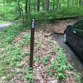 Review photo of Owens Creek Campground — Catoctin Mountain Park by November K., August 1, 2018