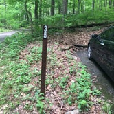 Review photo of Owens Creek Campground - Catoctin Mountain Park by November K., August 1, 2018