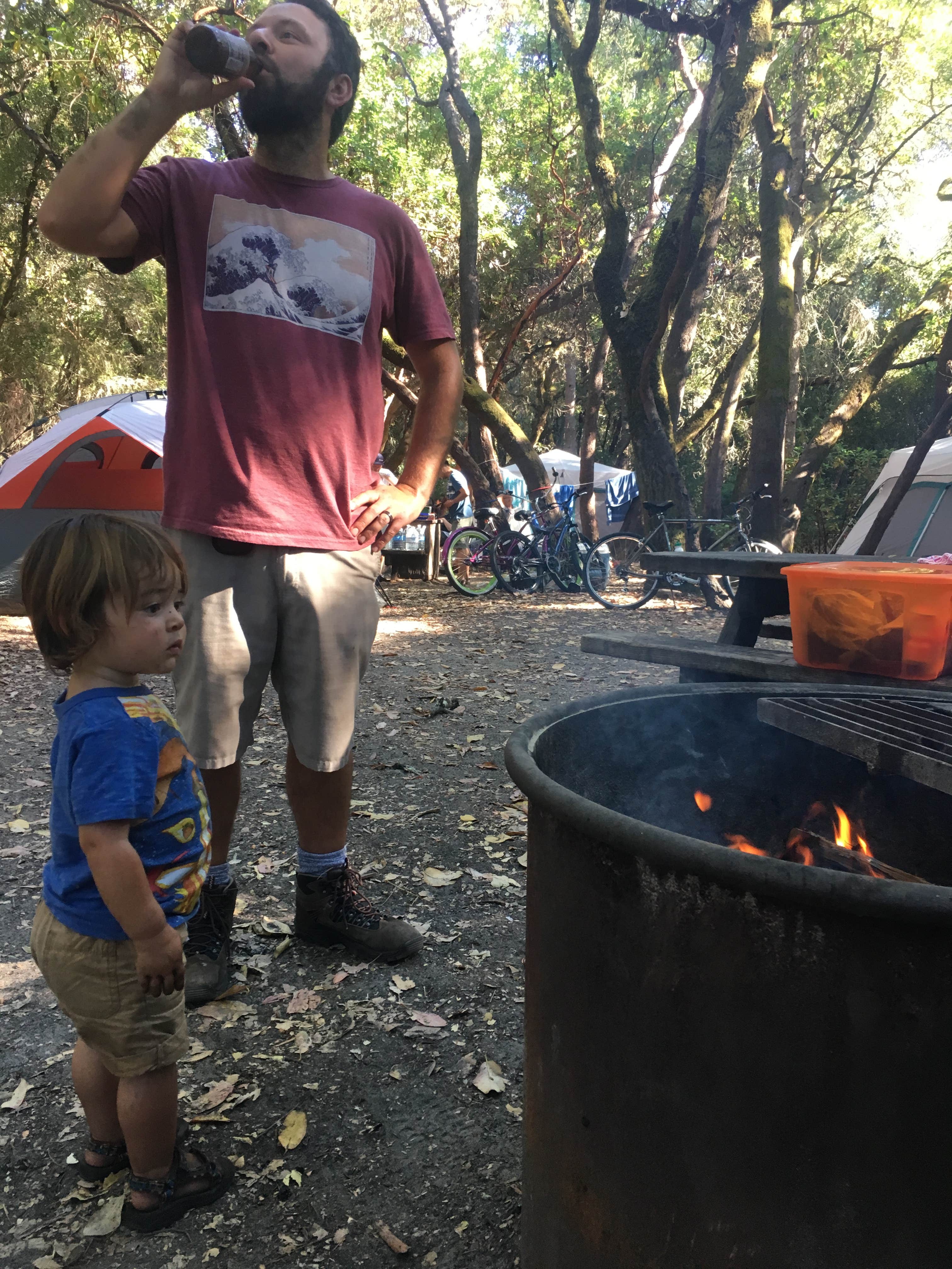 Camper-submitted photo at Henry Cowell Redwoods State Park Campground near Moss Landing, CA
