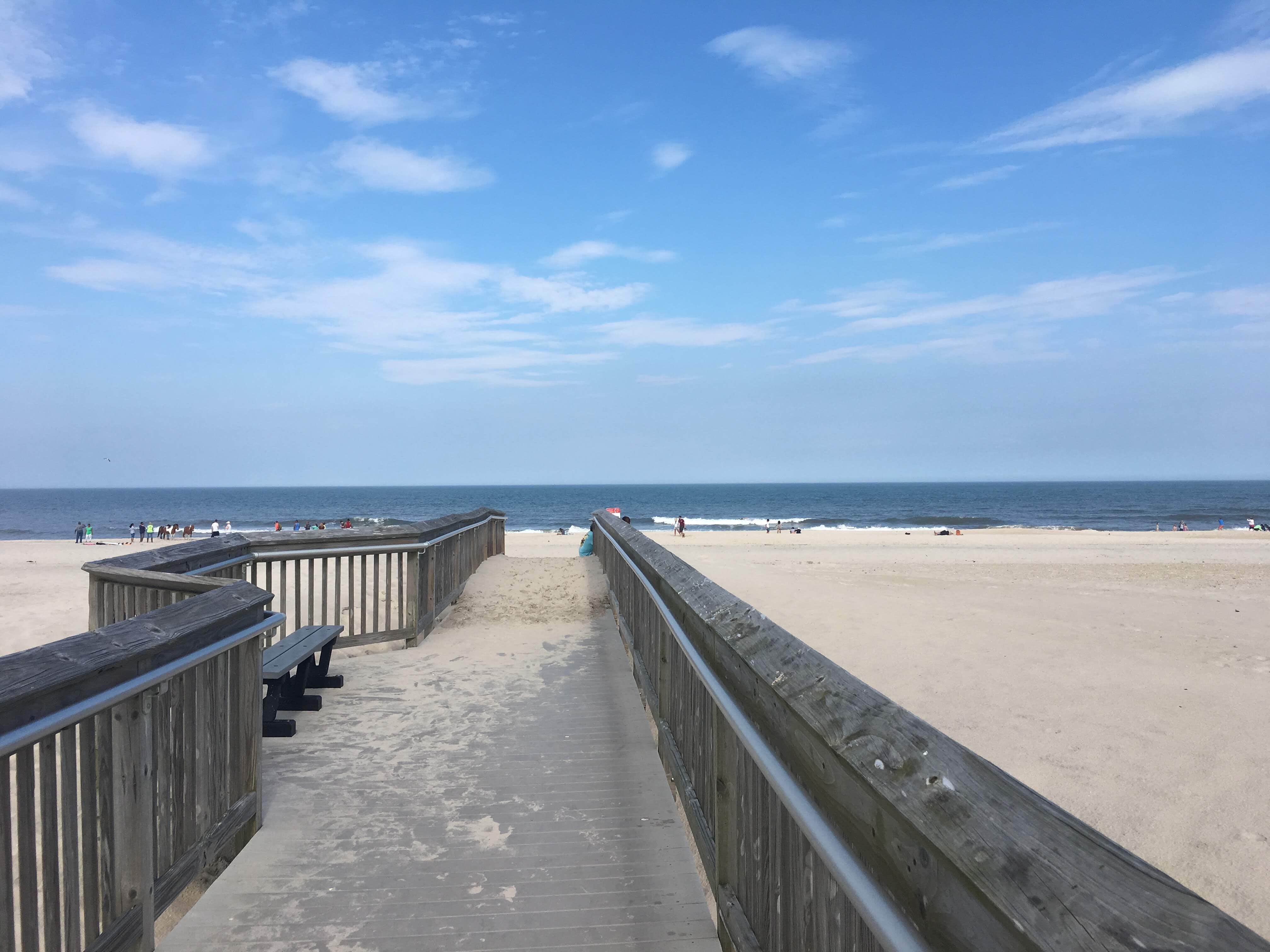 Camper submitted image from Assateague Island National Seashore Oceanside Campground - 2