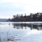 Review photo of Deam Lake State Rec Area by Lauren M., August 1, 2018