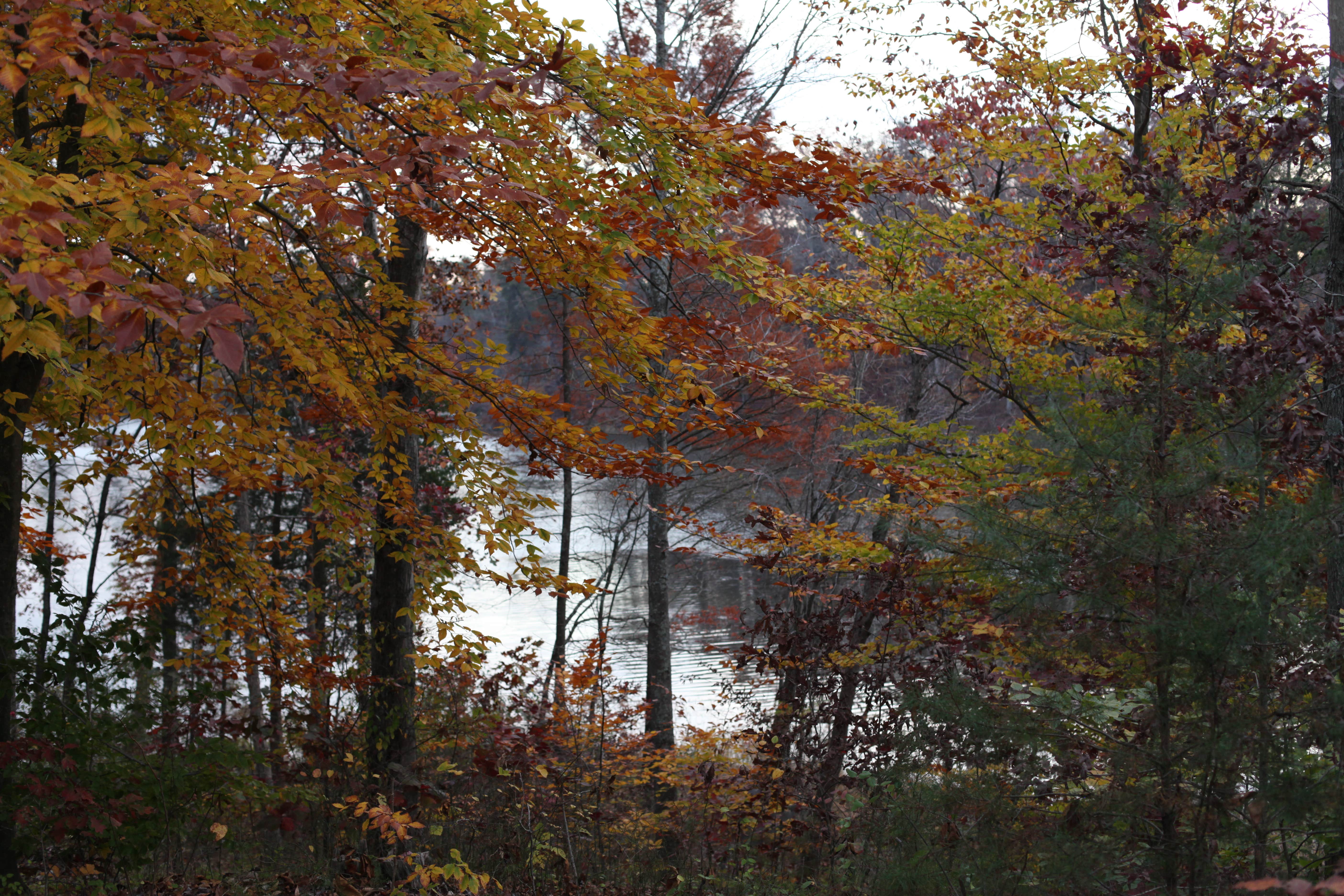 Camper-submitted photo at Deam Lake State Recreation Area Campground near Pewee Valley, KY