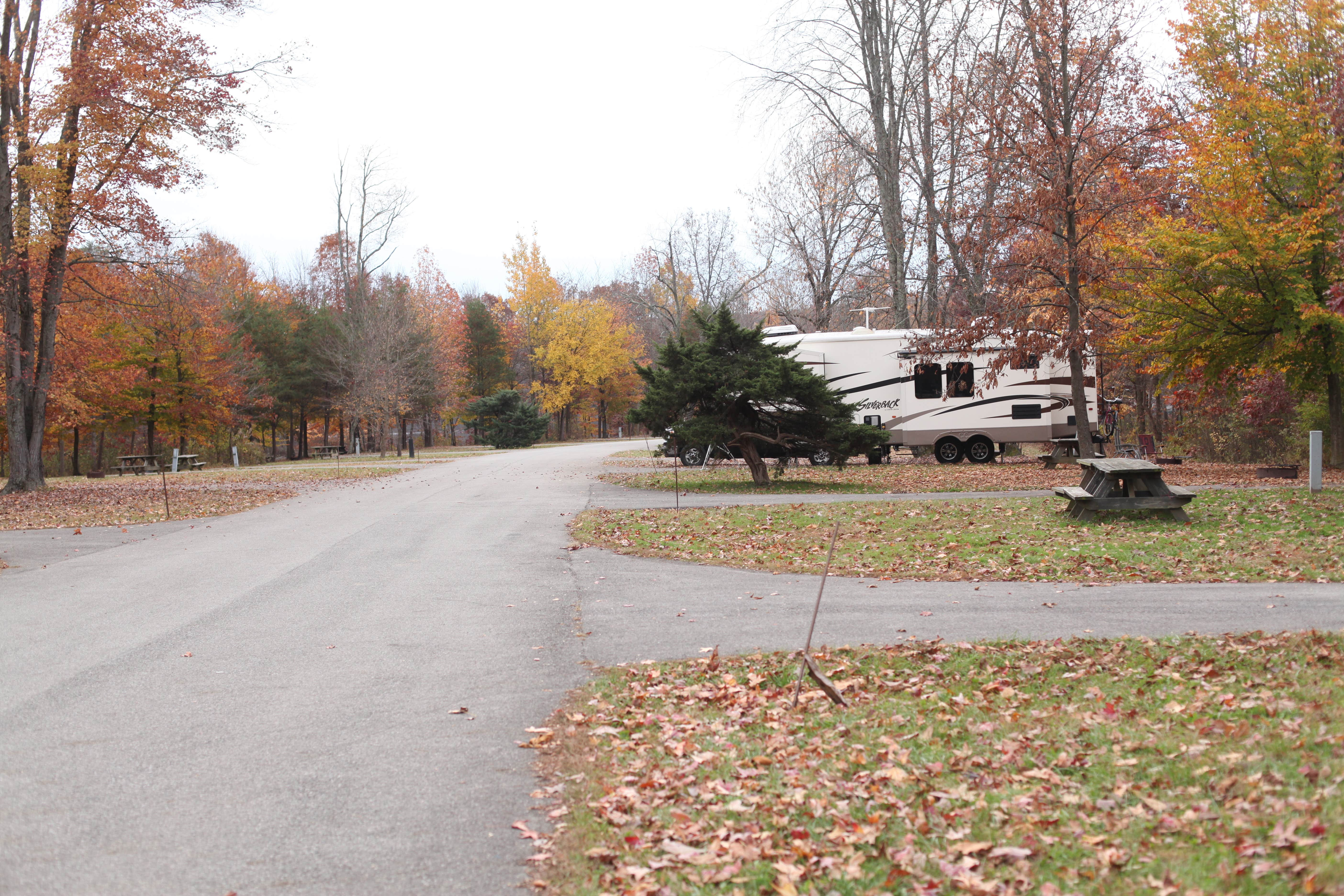 Camper submitted image from Deam Lake State Rec Area - 5