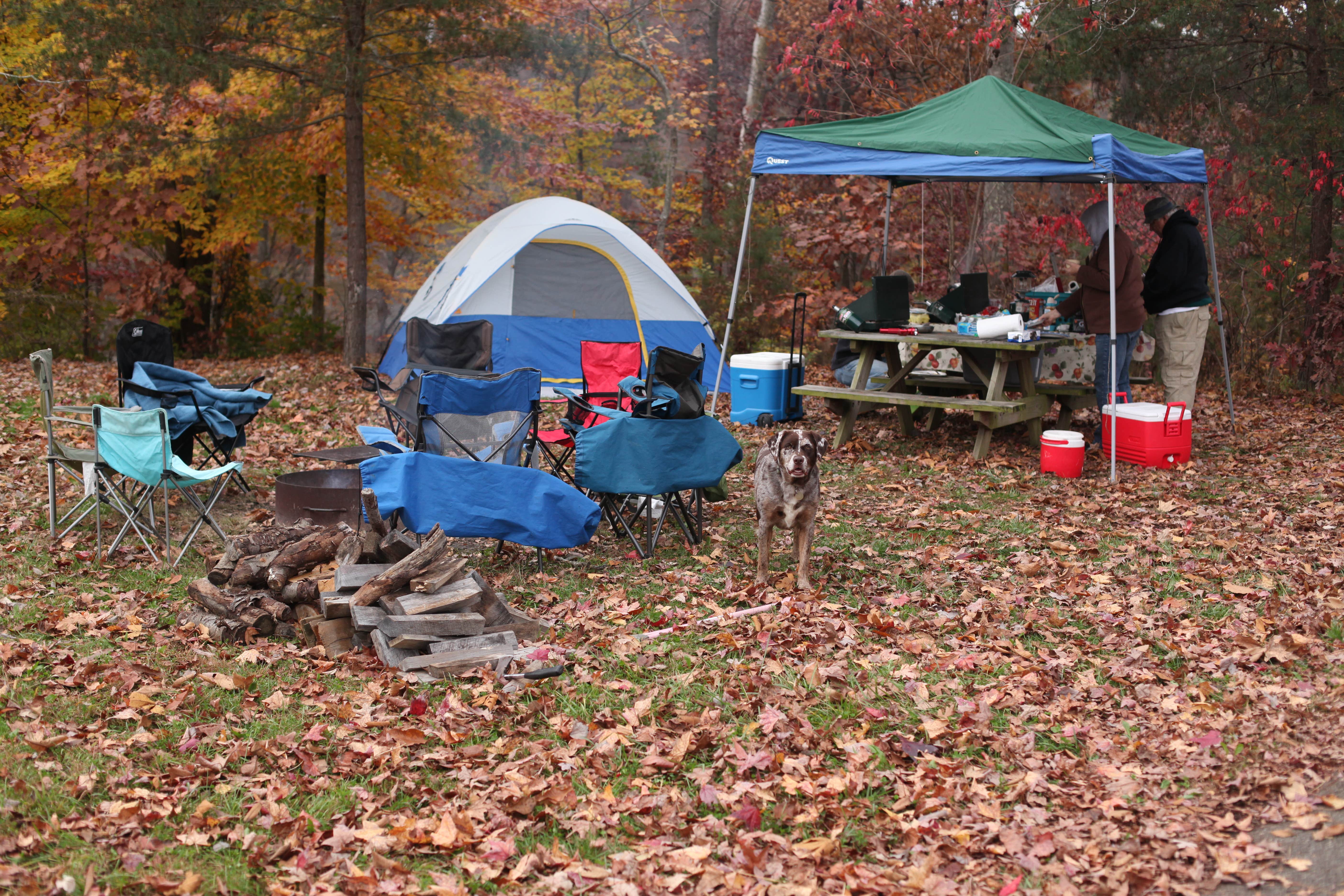 Lauren M.'s photo at Deam Lake State Recreation Area Campground near Wellington, KY